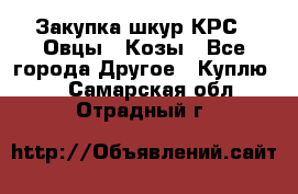 Закупка шкур КРС , Овцы , Козы - Все города Другое » Куплю   . Самарская обл.,Отрадный г.